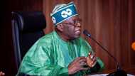 2023: It’s my turn to be president, says Bola Ahmed Tinubu