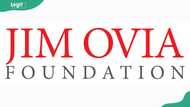 The Jim Ovia Scholarship benefits, requirements, and application procedure