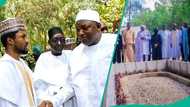 Buhari's death: Gambian President Adama Barrow storms Daura, Moments Captured on Video and Photos