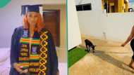 "I was expecting something huge": Lady gets small goat as gift for graduating from school, shows it