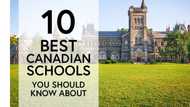 Top 10 schools in Canada for international students in 2019