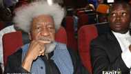 Soyinka tells Nigerians: Any state where children are kidnapped should shut down in protest