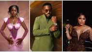 Crystal dreams on the red carpet: Celebs dazzle in Swarovski at AMVCA 2025