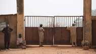 Katsina: 30 suspected bandits killed by residents, local vigilante