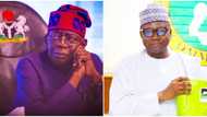 NPC Chairman meets President Tinubu, gives updates on new dates for national census