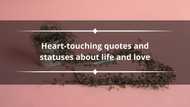 100 heart-touching quotes and statuses about life and love