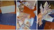 Ask your junior brothers: Reactions as Nigerian lady shares video, says 100k disappeared from her piggy bank