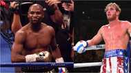 Mayweather's next opponent revealed as he puts undefeated 50-0 run on the line