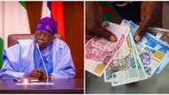 Naira plunges to N900/$, leaving Tinubu with more headaches as FAAN arrests forex dealers in Lagos