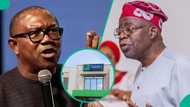 Alleged ₦225bn Fidelity bank debt: Peter Obi breaks silence over meeting with Tinubu in Rome
