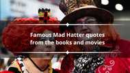 Top 10 famous Mad Hatter quotes from the books and movies