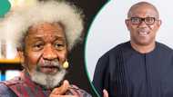 “Labour Party leadership knew Peter Obi lost 2023 polls”: Wole Soyinka shares details