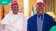 “He is an ally”: Tinubu speaks about Kwankwaso amidst defection rumours
