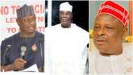 Keyamo drags Atiku, Kwankwaso to 'trenches', discloses their weaknesses in north