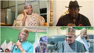 6 PDP senators-elect who may vie for position of minority leader