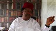 What will happen to many Nigerian politicians in 2023, ex-senator goes prophetic