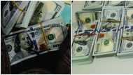 Photos emerge as EFCC smashes fake currency syndicate in Abuja