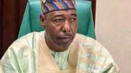 Kwaya-Bura: Kwamishinan da Zulum ya kora daga aiki a Borno ya yi martani
