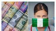 Latest record show 10 African countries with highest diaspora remittances