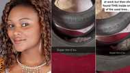 "Take them home with you": Lady shocked as she arrives at work to see 2 cats cuddling inside her car tyre