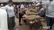 Yam, egusi, beans, 3 other goods in the market whose price has soared by hundred percent