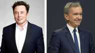 Elon Musk no longer world's richest man as Bernard Arnault takes over