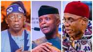 Buhari zai rabawa Tinubu, Osinbajo, da Amaechi gardama a APC kafin zaben fitar da gwani