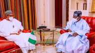 BREAKING: I've told Buhari about my interest in 2023 presidency, Tinubu finally declares, reveals next step