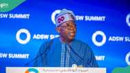 Tinubu champions global collaboration at Abu Dhabi sustainability week