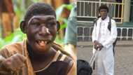 Man who lived in bushes, ate grasses now rolls in suits and treated like celebrity in the city