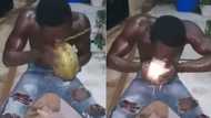 Man shows power, peels coconut husks with bare teeth in video, many react