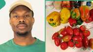 Man based abroad buys tomatoes and pepper for €4.50, which is over N7000 in exchange rate