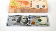 Milei's Argentina dollarization plan has Latin American precursors