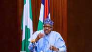Allah ne kaɗai zai iya tsare iyakokin Najeriya da Nijar, in ji Buhari