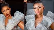 Celebrity style steal: Beautiful fan recreates BBNaija star Tacha's sleek look