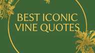 Best iconic vine quotes people still recite on a daily basis