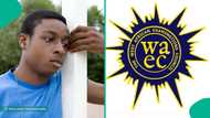 WAEC results 2025: Science student displays his WASSCE results, cries out ver his grade in English
