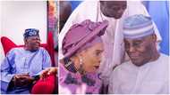 2023 elections: Confusion as Atiku's wife asks Nigerians to vote for APC, video emerges