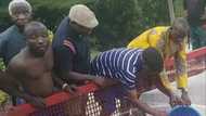 Post Covid-19: Obasanjo flags off fish farming project, warns against food crisis