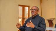 Kotun Sauraren Kararrakin Zabe: Cikakken Jerin Jihohin Da Peter Obi Ke Kalubalantar Sakamakon INEC