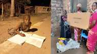Boy spotted doing homework under street light gifted solar system, lights by well-wishers