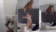 "I asked him to watch my daughter": Mum enters room to catch her husband wrestling with child