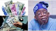 Naira no longer N800/$, appreciates at official market as BDCs operators adopt different exchange rates
