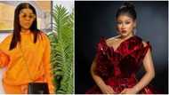 BBNaija Reunion: Many drag Phyna for blasting Chichi with her messy motherhood history, "Winner in the mud"