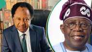 “Not just Tinubu”: Shehu Sani mentions Presidents who tripped, fell in the past