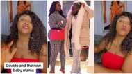 "She is too young for what she's going through": Blessing CEO defends Chioma, slams Davido, clip trends