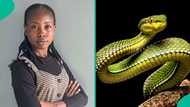 Lady who spotted snake on her bed at past midnight shares what prevented deadly bite