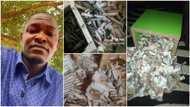 CBN deadline on old naira notes: 3 times Nigerians quickly stopped saving in their piggy banks