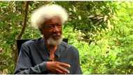 Why proscribe IPOB and not Miyetti Allah?’ Soyinka queries FG's handling of farmer-herder crisis