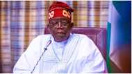 President Tinubu sets new record with second batch of ministerial nominees